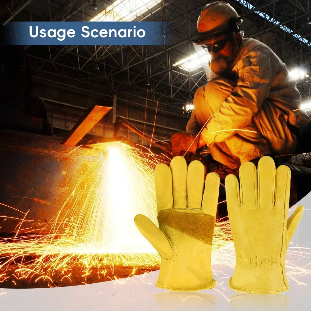 Leder-Arbeitsschutzhandschuhe  – Driving Gloves Leather Bewertung und Preis