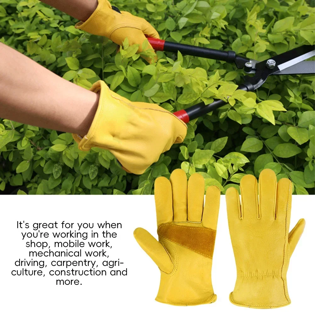 Leder-Arbeitsschutzhandschuhe  – Driving Gloves Leather Bewertung und Preis