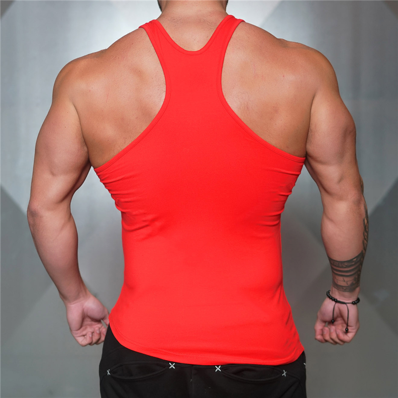 Gym Bodybuilding Muskel Shirts – Muscle Tee Workout Bewertung und Preis